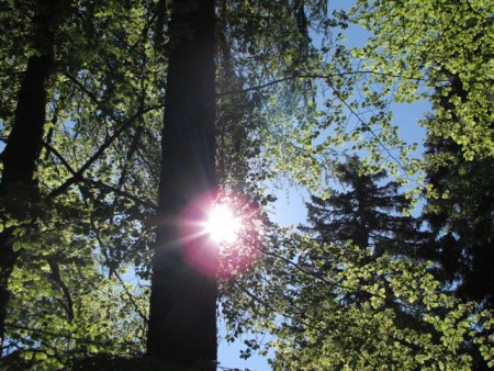 Rabeljske špice - 1908m - maj 2011